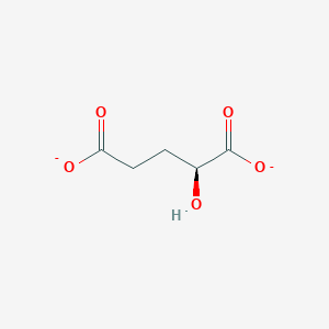 molecular formula C5H6O5-2 B1236351 L-2-Hydroxyglutaric acid 