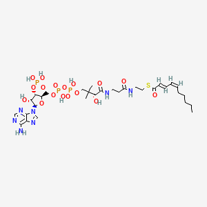 2-trans-4-cis-Decadienoyl-CoA