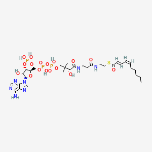2-trans-4-cis-decadienoyl-CoA