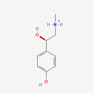 molecular formula C9H14NO2+ B1236403 (R)-synephrine 