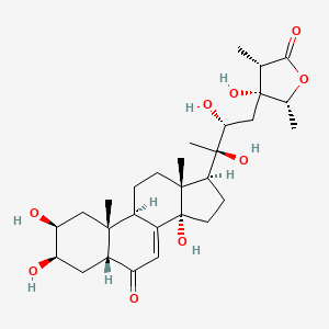 24-Hydroxycyasterone