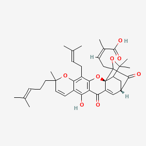 molecular formula C38H44O8 B1236523 (Z)-4-[(2S,17S)-12-hydroxy-8,21,21-trimethyl-5-(3-methylbut-2-enyl)-8-(4-methylpent-3-enyl)-14,18-dioxo-3,7,20-trioxahexacyclo[15.4.1.02,15.02,19.04,13.06,11]docosa-4(13),5,9,11,15-pentaen-19-yl]-2-methylbut-2-enoic acid 