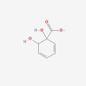 molecular formula C7H7O4- B1236538 1,6-Dihydroxycyclohexa-2,4-dienecarboxylate 