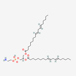 molecular formula C41H74NO8P B1236547 Dilinoleoylphosphatidylethanolamine CAS No. 55252-82-9