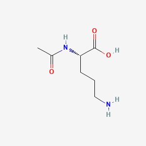 molecular formula C7H14N2O3 B1236571 N-Acetylornithine CAS No. 6205-08-9