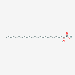 molecular formula C24H48O3 B1236585 (R)-2-Hydroxylignoceric acid 