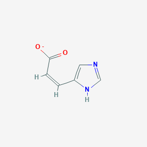 molecular formula C6H5N2O2- B1236652 cis-Urocanate 
