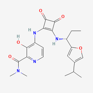 molecular formula C22H26N4O5 B12366892 SQA1 