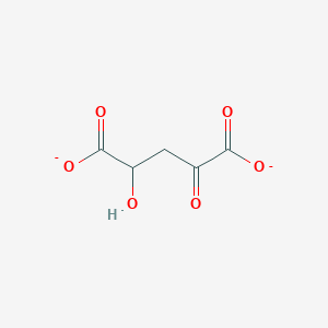 molecular formula C5H4O6-2 B1236734 2-Keto-4-hydroxyglutarate 