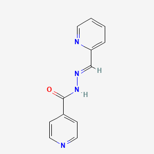 molecular formula C12H10N4O B1236741 N'-[(1E)-pyridin-2-ylmethylene]isonicotinohydrazide CAS No. 15017-32-0