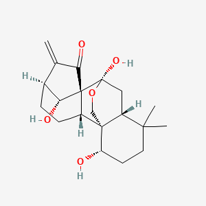 molecular formula C20H28O5 B1236793 Megathyrin A 