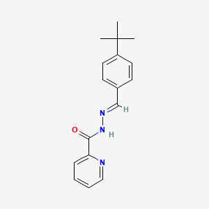 molecular formula C17H19N3O B1236851 N-[(E)-(4-tert-butylphenyl)methylideneamino]pyridine-2-carboxamide 