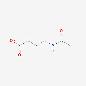 4-Acetamidobutanoate