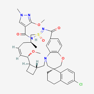 molecular formula C38H46ClN5O6S B12369900 Zamzetoclax 