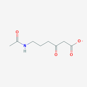 6-Acetamido-3-oxohexanoate