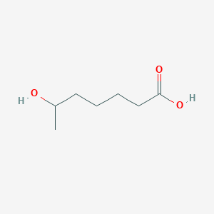 molecular formula C7H14O3 B1237041 6-Hydroxyheptanoic acid 