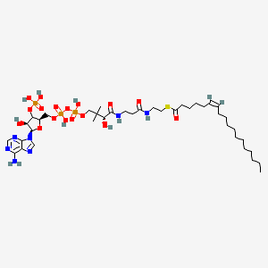 (6Z-Octadecenoyl)-CoA