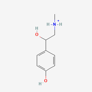 molecular formula C9H14NO2+ B1237181 Synephrinium 