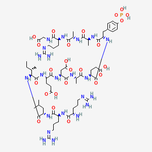 molecular formula C64H107N22O24P B12371846 RRLIEDAEpYAARG 