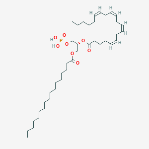 1-heptadecanoyl, 2-(5Z,8Z,11Z,14Z-eicosatetraenoyl)-sn-glycero-3-phosphate