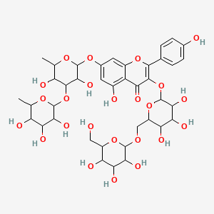 molecular formula C39H50O24 B1237215 Melitin CAS No. 81944-31-2