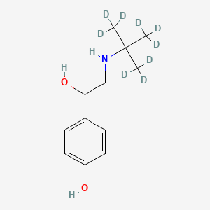 molecular formula C12H19NO2 B12373640 Buctopamine-d9 