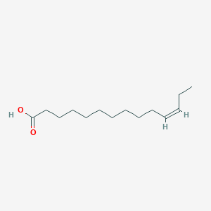 cis-Tetradec-11-enoic acid