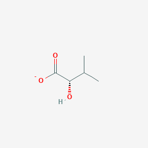 molecular formula C5H9O3- B1237441 (S)-2-hydroxy-3-methylbutyrate 