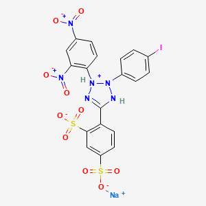molecular formula C19H12IN6NaO10S2 B12374457 Sodium;4-[3-(2,4-dinitrophenyl)-2-(4-iodophenyl)-1,3-dihydrotetrazol-3-ium-5-yl]benzene-1,3-disulfonate 