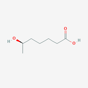 molecular formula C7H14O3 B1237455 (6R)-6-hydroxyheptanoic acid 