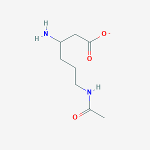 6-acetamido-3-aminohexanoate