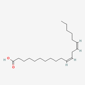 B1237571 Eicosadienoic acid CAS No. 5598-38-9