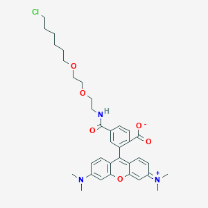 molecular formula C35H42ClN3O6 B12375729 Halo tag TMR 
