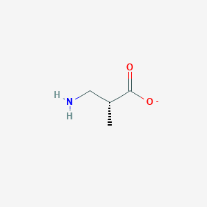 molecular formula C4H8NO2- B1237608 (2R)-3-amino-2-methylpropanoate 