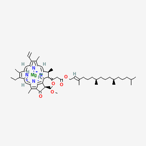 molecular formula C55H74MgN4O5+2 B1237651 magnesium;methyl (3R,21S,22S)-16-ethenyl-11-ethyl-12,17,21,26-tetramethyl-4-oxo-22-[3-oxo-3-[(E,7R,11R)-3,7,11,15-tetramethylhexadec-2-enoxy]propyl]-23,25-diazonia-7,24-diazanidahexacyclo[18.2.1.15,8.110,13.115,18.02,6]hexacosa-1(23),2(6),5(26),8,10(25),11,13,15,17,19-decaene-3-carboxylate 