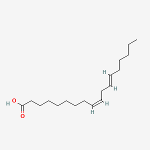 molecular formula C18H32O2 B1237686 9Z,12E-十八碳二烯酸 CAS No. 2420-42-0
