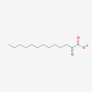 molecular formula C13H24O3 B1237826 2-Keto tridecanoic acid 
