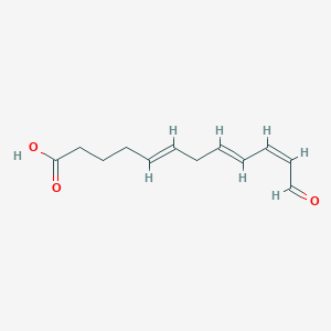 molecular formula C12H16O3 B1237831 12-oxo-5E,8E,10Z-dodecatrienoic acid 