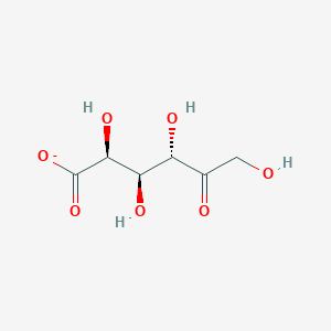 molecular formula C6H9O7- B1237843 D-tagaturonate 