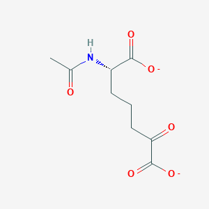 L-2-Acetamido-6-oxoheptanedioate