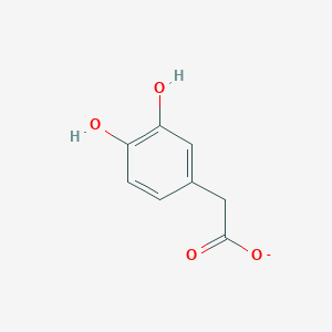 molecular formula C8H7O4- B1237994 (3,4-Dihydroxyphenyl)acetate 