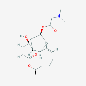 molecular formula C20H31NO5 B1238007 [(1S,2S,3Z,7S,11Z,13S,15S)-2-hydroxy-7-methyl-5-oxo-6-oxabicyclo[11.3.0]hexadeca-3,11-dien-15-yl] 2-(dimethylamino)acetate 
