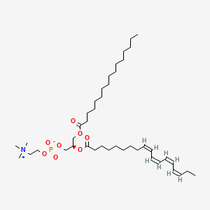 1-hexadecanoyl-2-(9Z,11Z,13Z,15Z-octadecatetraenoyl)-sn-glycero-3-phosphocholine