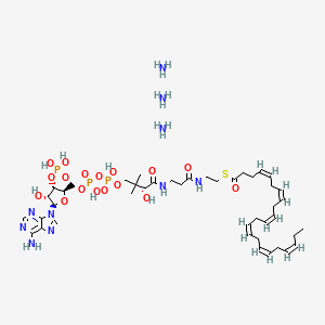 molecular formula C43H75N10O17P3S B12381315 22:6 Coenzyme A 