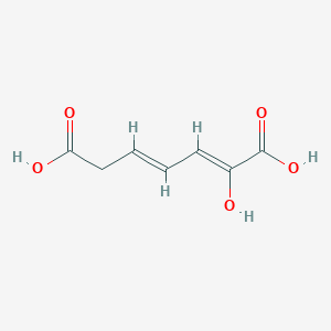 molecular formula C7H8O5 B1238173 (2Z,4E)-2-hydroxyhepta-2,4-dienedioic acid 