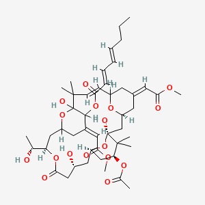 molecular formula C47H68O17 B1238194 [(1S,3S,5E,8E,13E,17R,21R,23R,25S)-25-acetyloxy-1,11,21-trihydroxy-17-[(1R)-1-hydroxyethyl]-5,13-bis(2-methoxy-2-oxoethylidene)-10,10,26,26-tetramethyl-19-oxo-18,27,28,29-tetraoxatetracyclo[21.3.1.13,7.111,15]nonacos-8-en-12-yl] (2E,4E)-octa-2,4-dienoate 