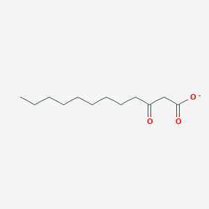 molecular formula C12H21O3- B1238196 3-Oxododecanoate 
