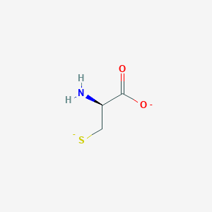 molecular formula C3H5NO2S-2 B1238198 D-cysteinate(2-) 