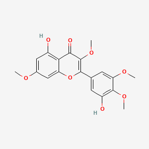 molecular formula C19H18O8 B1238216 5-羟基-2-(3-羟基-4,5-二甲氧基苯基)-3,7-二甲氧基-4H-1-苯并吡喃-4-酮 CAS No. 14290-57-4