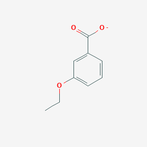 molecular formula C9H9O3- B1238238 3-乙氧基苯甲酸酯 